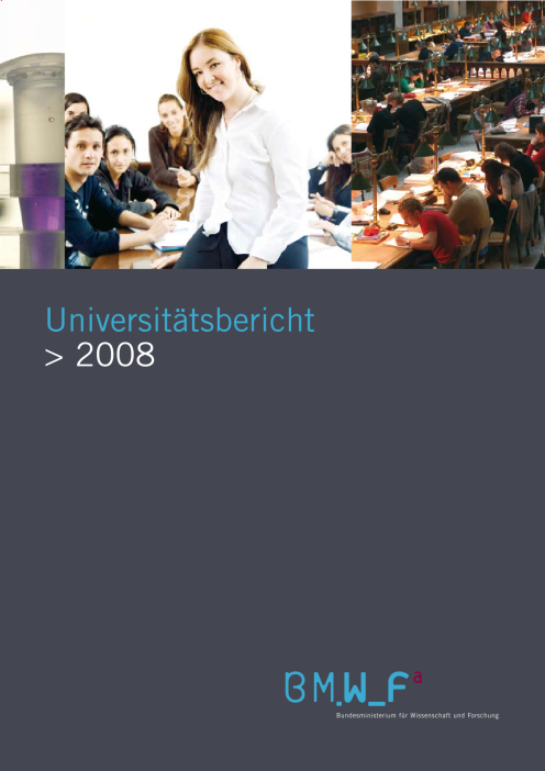 Universitätsbericht 2008