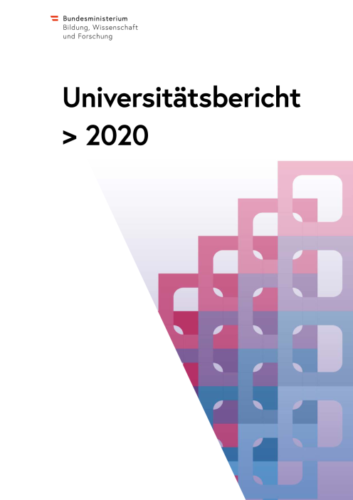 Universitätsbericht 2020